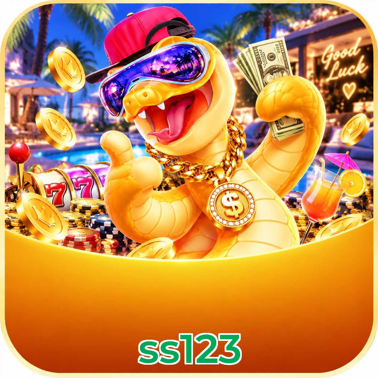 ss123